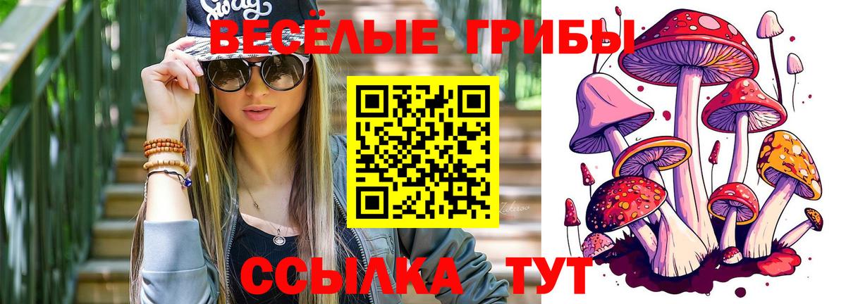 Галлюциногенные грибы GOLDEN TEACHER  Вход с VPN  Ишимбай 