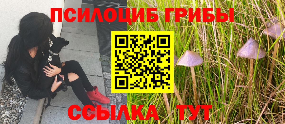 Галлюциногенные грибы мухоморы Ишимбай